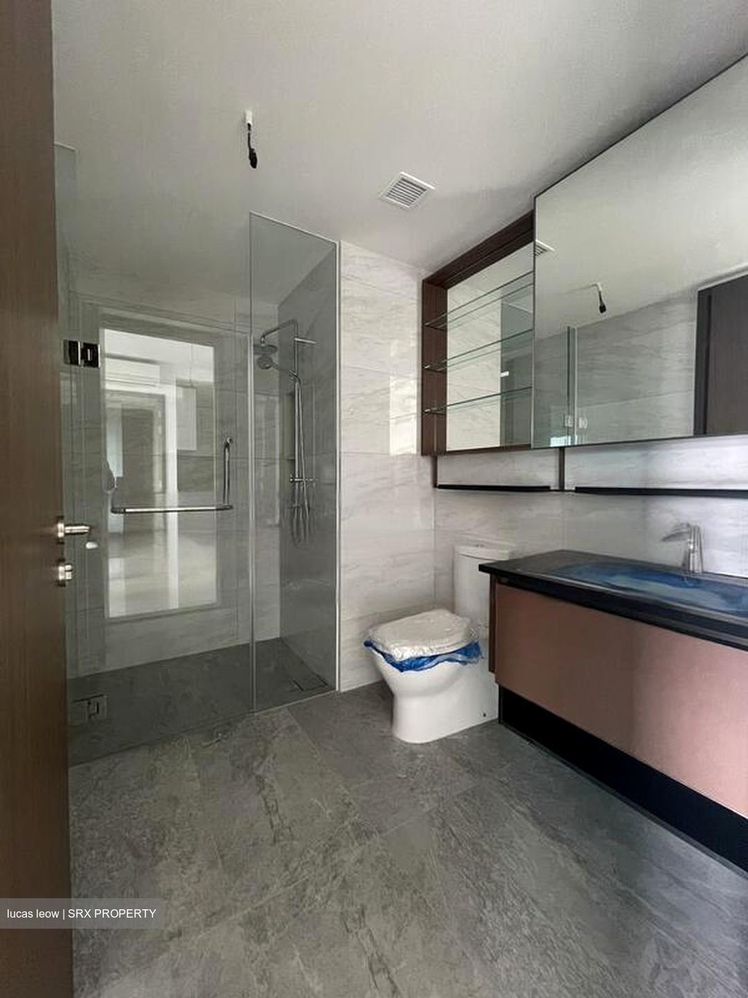 Normanton Park (D5), Apartment #458952591